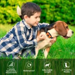 NIIYEBU Anti Blafband - Blafbanden Voor Honden - Anti Blaf Apparaat - Diervriendelijk - Zonder Schok - Vibratie En Audio -Huisdier Benodigdheden 1200x1200 297