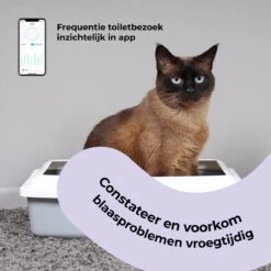 Pettadore Air Insight - Kattenbak Geurverdrijver & Teller - Actieve Zuurstof En Ionen - Oplaadbaar - Met App 20 Pettadore Air Insight - Kattenbak Geurverdrijver & Teller - Actieve Zuurstof En Ionen - Oplaadbaar - Met App -Huisdier Benodigdheden 1200x1200 325