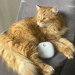 Pettadore Air Insight - Kattenbak Geurverdrijver & Teller - Actieve Zuurstof En Ionen - Oplaadbaar - Met App 28 Pettadore Air Insight - Kattenbak Geurverdrijver & Teller - Actieve Zuurstof En Ionen - Oplaadbaar - Met App -Huisdier Benodigdheden 1200x1200 333