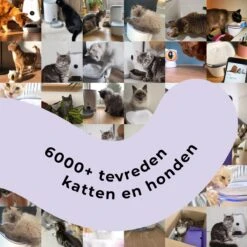 Pettadore Air Insight - Kattenbak Geurverdrijver & Teller - Actieve Zuurstof En Ionen - Oplaadbaar - Met App 29 Pettadore Air Insight - Kattenbak Geurverdrijver & Teller - Actieve Zuurstof En Ionen - Oplaadbaar - Met App -Huisdier Benodigdheden 1200x1200 334