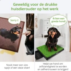 AWEMOZ Hondentoilet Kunstgras - Met 2 Matten En Opvangbak - 64x52x7,5cm - Puppy Pads - Zindelijkheidstraining Hond - Training Pads - Indoor / Outdoor Honden Toilet -Huisdier Benodigdheden 1200x1200 345