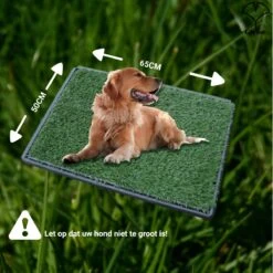 Merkloos Gtrise Hondentoilet Met 2 Matten - Out/Indoor - Zindelijkheidstraining Ebook - Dieren Wc -Huisdier Benodigdheden 1200x1200 353