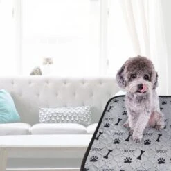 Jooba Puppy Training Pads - Wasbare Puppy Pads 2 Stuks - Hondentoilet - 70x50cm - Puppy -Huisdier Benodigdheden 1200x1200 358