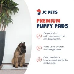 JC Pets Premium Puppy Training Pads - Hondentoilet - Zindelijkheidstraining Hond - 100 Stuks - 60 X 45 Cm -Huisdier Benodigdheden 1200x1200 370