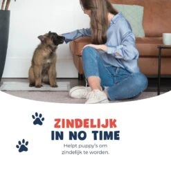 JC Pets Premium Puppy Training Pads - Hondentoilet - Zindelijkheidstraining Hond - 100 Stuks - 60 X 45 Cm -Huisdier Benodigdheden 1200x1200 371