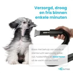 Qumax Professionele Hondenföhn Met 4 Opzetstukken – Waterblazer Voor Honden – Stil Design – Compact En Modern - Zwart -Huisdier Benodigdheden 1200x1200 38