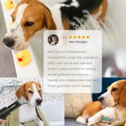 Qumax Professionele Hondenföhn Met 4 Opzetstukken – Waterblazer Voor Honden – Stil Design – Compact En Modern - Zwart -Huisdier Benodigdheden 1200x1200 39