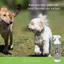 Nutrani Geurverwijderaar, 750 Ml, Natuurlijke Enzymreiniger Als Gebruiksklare Spray Met Biologische Werking, Verwijdert Geurtjes, Urine, Poep En Vlekken Van Honden En Katten -Huisdier Benodigdheden 1200x1200 395