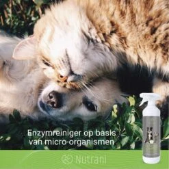 Nutrani Geurverwijderaar, 750 Ml, Natuurlijke Enzymreiniger Als Gebruiksklare Spray Met Biologische Werking, Verwijdert Geurtjes, Urine, Poep En Vlekken Van Honden En Katten -Huisdier Benodigdheden 1200x1200 396