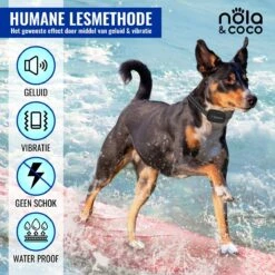 Nola & Coco® Oplaadbare Anti Blafband - 4 Kleuren - Zonder Schok - Waterdichte Diervriendelijke Blaf Halsband - Opvoedingshalsband - Voor Grote En Kleine Honden - Lichte Vibratie En Geluid - 3 Tot 60kg -Huisdier Benodigdheden 1200x1200 413