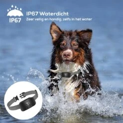 Salvano Anti Blafband - Blafband Voor Honden - Opvoedingshalsbanden - Voor Kleine En Grote Honden - Anti Blafband Zonder Schok- Oplaadbaar - Anti Blaf Apparaat - Blafband - Diervriendelijk -Huisdier Benodigdheden 1200x1200 425