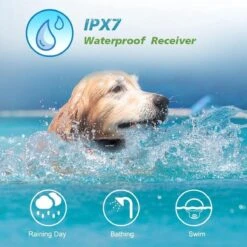 Anti Blafband EN Trainingshalsband In 1 - UNIEK Systeem - 500m Bereik - Trainingsband Opvoedband Waterdicht - Anti Blaf Apparaat - Teletac - Oplaadbaar - Volautomatisch - Grote & Kleine Hond 10 Anti Blafband EN Trainingshalsband In 1 - UNIEK Systeem - 500m Bereik - Trainingsband Opvoedband Waterdicht - Anti Blaf Apparaat - Teletac - Oplaadbaar - Volautomatisch - Grote & Kleine Hond -Huisdier Benodigdheden 1200x1200 429