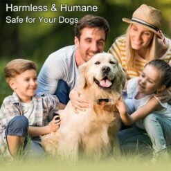 Anti Blafband EN Trainingshalsband In 1 - UNIEK Systeem - 500m Bereik - Trainingsband Opvoedband Waterdicht - Anti Blaf Apparaat - Teletac - Oplaadbaar - Volautomatisch - Grote & Kleine Hond 11 Anti Blafband EN Trainingshalsband In 1 - UNIEK Systeem - 500m Bereik - Trainingsband Opvoedband Waterdicht - Anti Blaf Apparaat - Teletac - Oplaadbaar - Volautomatisch - Grote & Kleine Hond -Huisdier Benodigdheden 1200x1200 430