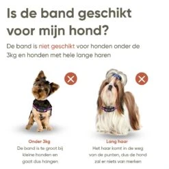 Premium Anti Blafband Om Je Hond Snel En Effectief Te Laten Stoppen Met Blaffen - Diervriendelijke Opvoedingshalsband Zonder Schok - Trainingshalsband Voor Grote En Kleine Honden - Anti Blaf Apparaat - Correctie Halsband 13 Premium Anti Blafband Om Je Hond Snel En Effectief Te Laten Stoppen Met Blaffen - Diervriendelijke Opvoedingshalsband Zonder Schok - Trainingshalsband Voor Grote En Kleine Honden - Anti Blaf Apparaat - Correctie Halsband -Huisdier Benodigdheden 1200x1200 439