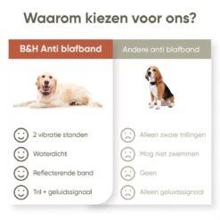 Premium Anti Blafband Om Je Hond Snel En Effectief Te Laten Stoppen Met Blaffen - Diervriendelijke Opvoedingshalsband Zonder Schok - Trainingshalsband Voor Grote En Kleine Honden - Anti Blaf Apparaat - Correctie Halsband 16 Premium Anti Blafband Om Je Hond Snel En Effectief Te Laten Stoppen Met Blaffen - Diervriendelijke Opvoedingshalsband Zonder Schok - Trainingshalsband Voor Grote En Kleine Honden - Anti Blaf Apparaat - Correctie Halsband -Huisdier Benodigdheden 1200x1200 442