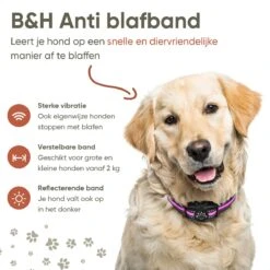 Premium Anti Blafband Om Je Hond Snel En Effectief Te Laten Stoppen Met Blaffen - Diervriendelijke Opvoedingshalsband Zonder Schok - Trainingshalsband Voor Grote En Kleine Honden - Anti Blaf Apparaat - Correctie Halsband 17 Premium Anti Blafband Om Je Hond Snel En Effectief Te Laten Stoppen Met Blaffen - Diervriendelijke Opvoedingshalsband Zonder Schok - Trainingshalsband Voor Grote En Kleine Honden - Anti Blaf Apparaat - Correctie Halsband -Huisdier Benodigdheden 1200x1200 443