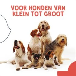JC Pets Ultrasone Anti Blaf Apparaat Voor Kleine En Grote Honden - Oplaadbaar - Alternatief Anti Blafband Voor Honden - Diervriendelijk & Zonder Schok -Huisdier Benodigdheden 1200x1200 457