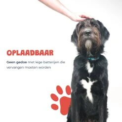 Anti Blafband - Blafband Voor Honden - Oplaadbaar - Anti Blaf Apparaat - Blafband - Diervriendelijk -Huisdier Benodigdheden 1200x1200 465