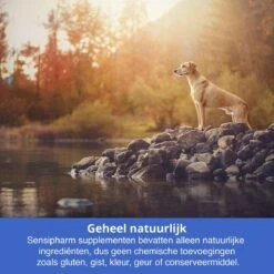 Sensipharm Bitterspray Anti Bijt Spray - Hond, Kat, Konijn & Vogel - Bitter Anti Kauw Knabbel Knaag - 100 Ml 9 Sensipharm Bitterspray Anti Bijt Spray - Hond, Kat, Konijn & Vogel - Bitter Anti Kauw Knabbel Knaag - 100 Ml -Huisdier Benodigdheden 1200x1200 475