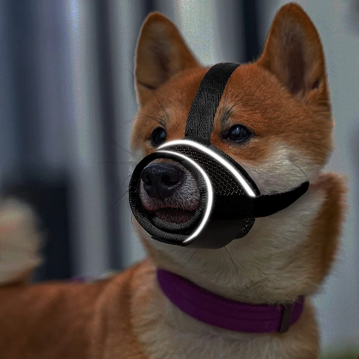 Merkloos Hoog Kwaliteit Muilkorf Met Bedrukt Patroon - Muilkorf Hond - Hondensnuit - Anti Blaf En Bijt - Voor Kleine En Grote Honden Maat M Zwart Reflecterend 5 Merkloos Hoog Kwaliteit Muilkorf Met Bedrukt Patroon - Muilkorf Hond - Hondensnuit - Anti Blaf En Bijt - Voor Kleine En Grote Honden Maat M Zwart Reflecterend - Afbeelding 3