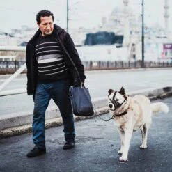 Merkloos Hoog Kwaliteit Muilkorf Met Bedrukt Patroon - Muilkorf Hond - Hondensnuit - Anti Blaf En Bijt - Voor Kleine En Grote Honden Maat M Zwart Reflecterend 14 Merkloos Hoog Kwaliteit Muilkorf Met Bedrukt Patroon - Muilkorf Hond - Hondensnuit - Anti Blaf En Bijt - Voor Kleine En Grote Honden Maat M Zwart Reflecterend -Huisdier Benodigdheden 1200x1200 514