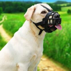 Sharon B Muilkorf Hond - Zwart - XXL - Voor Zeer Grote Honden - Snuitomtrek 38-43 Cm -Huisdier Benodigdheden 1200x1200 522