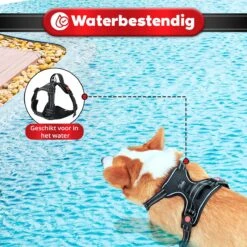 Purrr Fect Hondentuigje - Anti-Trek Tuig - Hondenharnas - Y Tuig Hond - Waterproof - Reflecterend - Verstelbaar - Maat M -Huisdier Benodigdheden 1200x1200 545