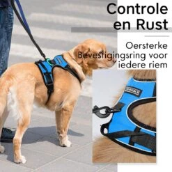 Sharon B - Hondentuigje - Voor Middelgrote Honden - Blauw - Maat M - No Pull Harnas - Anti Trek - Reflecterend - Hoeft Niet Over Het Hoofd Aangetrokken Te Worden -Huisdier Benodigdheden 1200x1200 559