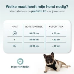 Hondentuigje Medium – Hondenharnas - Anti Trek Tuig Hond – Y Tuig – Reflecterend – Zwart – Maat M 14 Hondentuigje Medium – Hondenharnas - Anti Trek Tuig Hond – Y Tuig – Reflecterend – Zwart – Maat M -Huisdier Benodigdheden 1200x1200 573