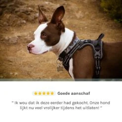 Hondentuigje Medium – Hondenharnas - Anti Trek Tuig Hond – Y Tuig – Reflecterend – Zwart – Maat M 16 Hondentuigje Medium – Hondenharnas - Anti Trek Tuig Hond – Y Tuig – Reflecterend – Zwart – Maat M -Huisdier Benodigdheden 1200x1200 575