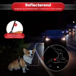 Purrr Fect Hondentuigje - Anti-Trek Tuig - Hondenharnas - Y Tuig Hond - Waterproof - Reflecterend - Verstelbaar - Maat L 19 Purrr Fect Hondentuigje - Anti-Trek Tuig - Hondenharnas - Y Tuig Hond - Waterproof - Reflecterend - Verstelbaar - Maat L -Huisdier Benodigdheden 1200x1200 579