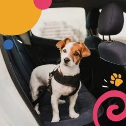 Hondentuig - Hondenharnas - Hondenriem - Anti Trek - Autogordel Hond - Zwart - Maat S -Huisdier Benodigdheden 1200x1200 582