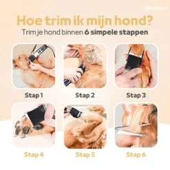 Woodoro Professionele 2-in-1 Hondentondeuse Voor Dikke Vacht – Draadloze Honden Tondeuse & Hondentrimmer – Stille Tondeuse Katten & Honden Trimset -Huisdier Benodigdheden 1200x1200 6