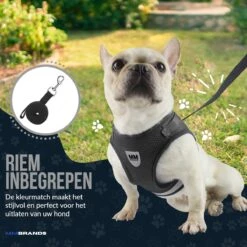MM Brands Hondentuig - Harnas Hond - Y Tuig - Reflectie - Small - Zwart -Huisdier Benodigdheden 1200x1200 601