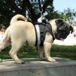 Hondentuig, Hondenharnas Met Hondenriem – Reflecterend - Zwart – Maat M (borst 35-40 Cm) -Huisdier Benodigdheden 1200x1200 609