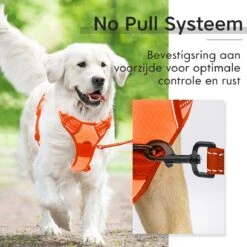 Sharon B - Hondentuigje - Voor Middelgrote Honden - Oranje - Maat M - No Pull - Anti Trek - Reflecterend - Hoeft Niet Over Het Hoofd Aangetrokken Te Worden -Huisdier Benodigdheden 1200x1200 612