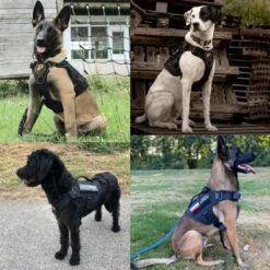 Always Prepared © Pro K9 Hondentuig - Anti Trek - Y Tuig - Middel En Grote Hond - Veiligheidstuig 23 Always Prepared © Pro K9 Hondentuig - Anti Trek - Y Tuig - Middel En Grote Hond - Veiligheidstuig -Huisdier Benodigdheden 1200x1200 616