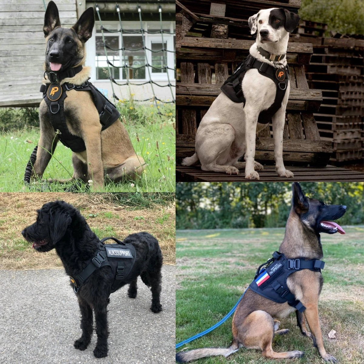 Always Prepared © Pro K9 Hondentuig - Anti Trek - Y Tuig - Middel En Grote Hond - Veiligheidstuig 10 Always Prepared © Pro K9 Hondentuig - Anti Trek - Y Tuig - Middel En Grote Hond - Veiligheidstuig - Afbeelding 8