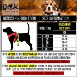 DDOXX Borstharnas Air Mesh, Step-In, Reflecterend | Vele Kleuren | Voor Kleine, Middelgrote En Middelgrote Honden | Hondenharnas Hond Kat Puppy | Kattenharnas Puppy Harnas | Zwart, M -Huisdier Benodigdheden 1200x1200 624