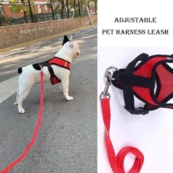 Hondentuig- Hondentuigjes Kleine Hond-hondentuigjes Puppy-Kattenspeeltjes-kat-dog-Kattenharnas-kattentuigje -kattentuigje Met Looplijn-maat M-Rood -Huisdier Benodigdheden 1200x1200 631