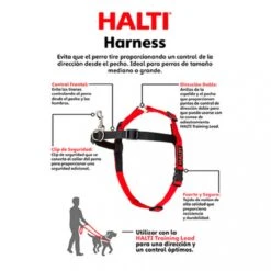 Company Of Animals Halti Harnass - Anti Trektuigje - Hond - Large - Borstomvang Boven De 80 Cm – Zwart 24 Company Of Animals Halti Harnass - Anti Trektuigje - Hond - Large - Borstomvang Boven De 80 Cm – Zwart -Huisdier Benodigdheden 1200x1200 633