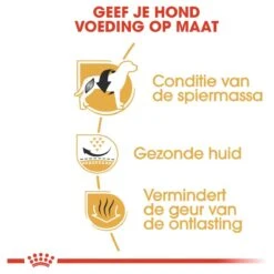 Royal Canin French Bulldog Adult 9 KG -Huisdier Benodigdheden 1200x1200 638