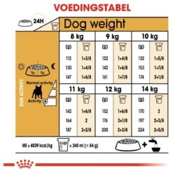 Royal Canin French Bulldog Adult 9 KG -Huisdier Benodigdheden 1200x1200 639