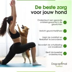 Dog Optimal Gewricht Supplement 90 Stuks - Mobility - Glucosamine Hond - Artrose - Heupdysplasie - Gewrichten - Hondensnacks - Hondenkoekjes - Hondensupplementen - Honden - Puppy - Hondenvoeding - Mankheid - HD - ED 14 Dog Optimal Gewricht Supplement 90 Stuks - Mobility - Glucosamine Hond - Artrose - Heupdysplasie - Gewrichten - Hondensnacks - Hondenkoekjes - Hondensupplementen - Honden - Puppy - Hondenvoeding - Mankheid - HD - ED -Huisdier Benodigdheden 1200x1200 644
