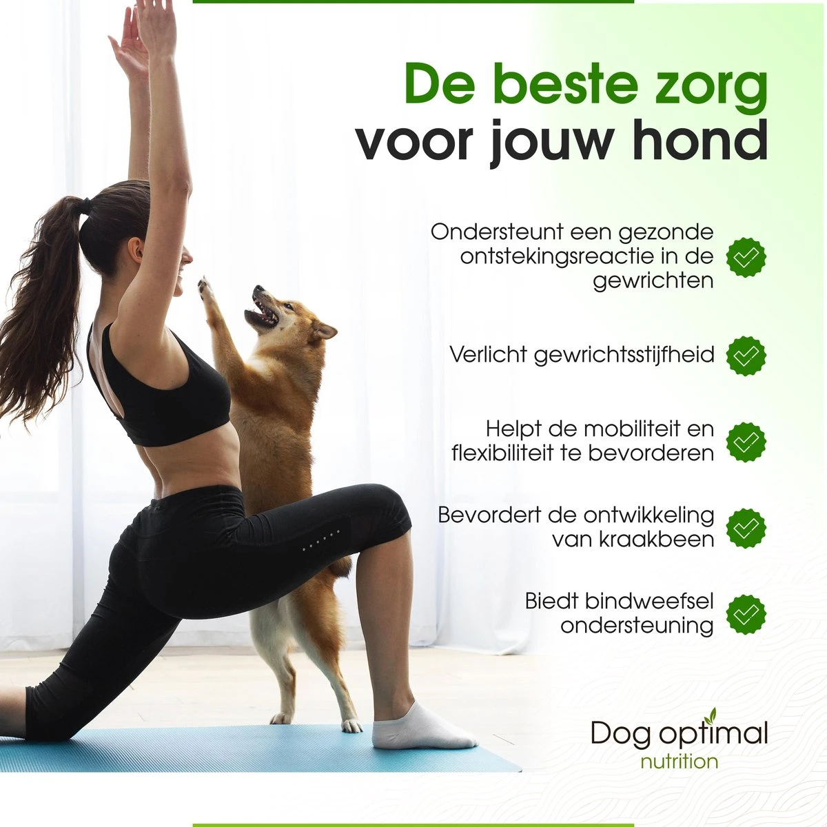 Dog Optimal Gewricht Supplement 90 Stuks - Mobility - Glucosamine Hond - Artrose - Heupdysplasie - Gewrichten - Hondensnacks - Hondenkoekjes - Hondensupplementen - Honden - Puppy - Hondenvoeding - Mankheid - HD - ED 5 Dog Optimal Gewricht Supplement 90 Stuks - Mobility - Glucosamine Hond - Artrose - Heupdysplasie - Gewrichten - Hondensnacks - Hondenkoekjes - Hondensupplementen - Honden - Puppy - Hondenvoeding - Mankheid - HD - ED - Afbeelding 3