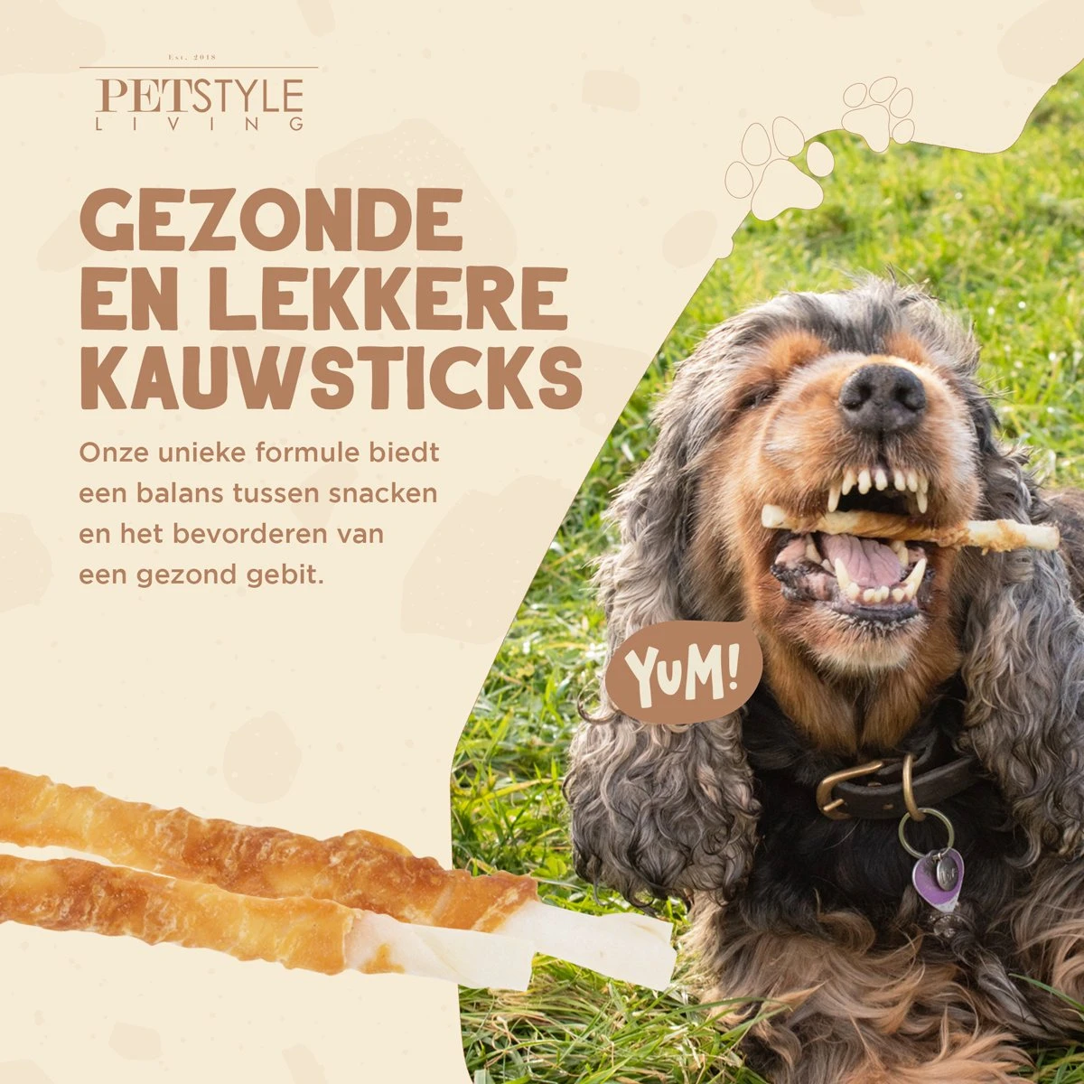 Petstyleliving Gedraaide Sticks Met Kip - Voordeelzak 100 Stuks 12,5cm - Hersluitbaar - Hondensnacks - Kauwstaaf 5 Petstyleliving Gedraaide Sticks Met Kip - Voordeelzak 100 Stuks 12,5cm - Hersluitbaar - Hondensnacks - Kauwstaaf - Afbeelding 3