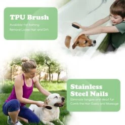 Merkloos Nobleza Dierenborstel - Hondenborstel - Kattenborstel - Tweezijdig - Dubbelzijdig - Hout - Maat L -Huisdier Benodigdheden 1200x1200 68