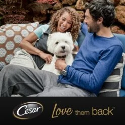 Cesar Primeur Paté Honden Natvoer - Kalf & Worteltjes - 10 X 300 Gr -Huisdier Benodigdheden 1200x1200 690