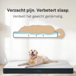 CozySense® - Orthopedisch Hondenkussen - Hondenkussen 90 X 55 Cm - Ook Geschikt Als Benchkussen & Hondenbed - Hondenkussen Bank - Traagschuim - Waterdicht - Wasbare Hoes - Maat L -Huisdier Benodigdheden 1200x1200 712