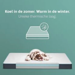 CozySense® - Orthopedisch Hondenkussen - Hondenkussen 90 X 55 Cm - Ook Geschikt Als Benchkussen & Hondenbed - Hondenkussen Bank - Traagschuim - Waterdicht - Wasbare Hoes - Maat L -Huisdier Benodigdheden 1200x1200 713